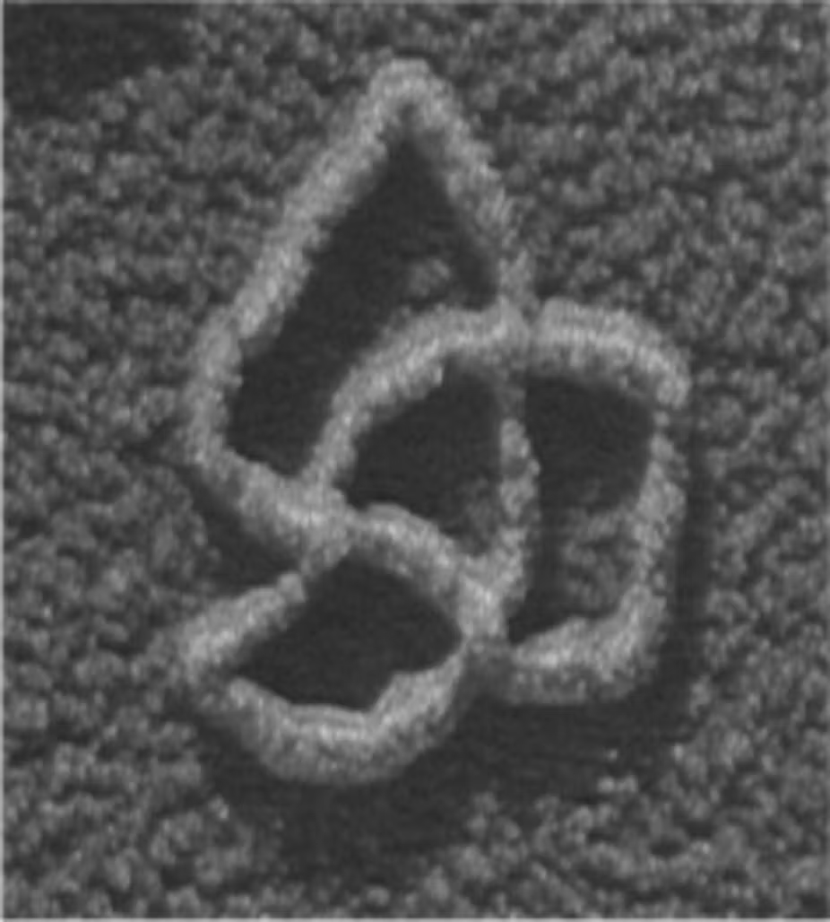 A scanning electron microscope image of knotted dsDNA (Arsuaga CC
BY-ND ).